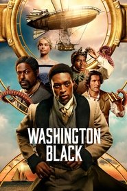 Washington Black izle - Dizirella afişi