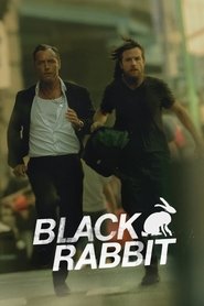 Black Rabbit izle - Dizirella afişi