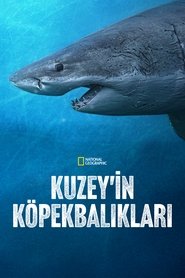 Sharks of the North izle