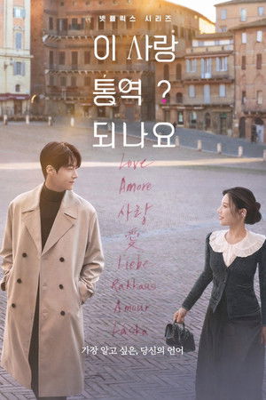 Can This Love Be Translated? izle - Dizirella afişi