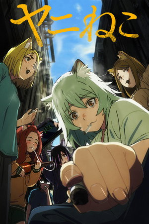 Chainsmoker Cat izle