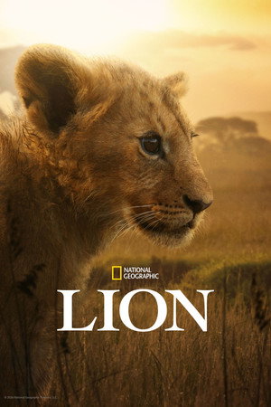 Lion izle