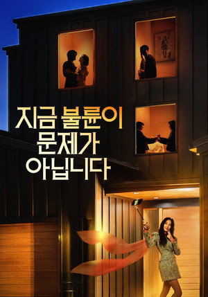 The Affair Was Just The Beginning izle - Dizirella afişi