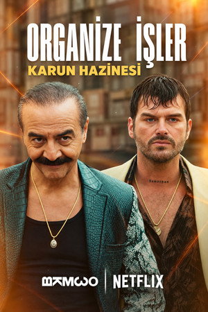 Organize İşler: Karun Hazinesi izle